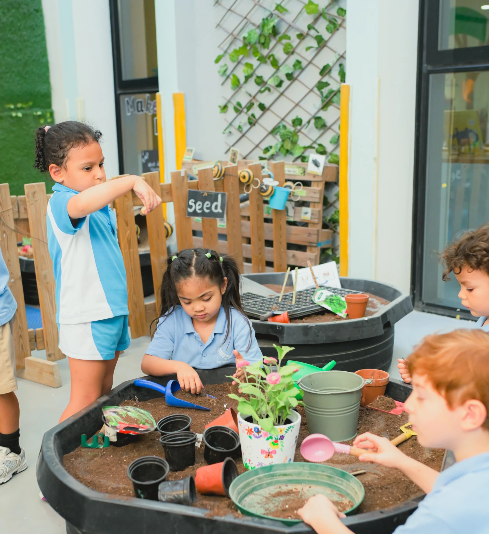 Hydroponics farm