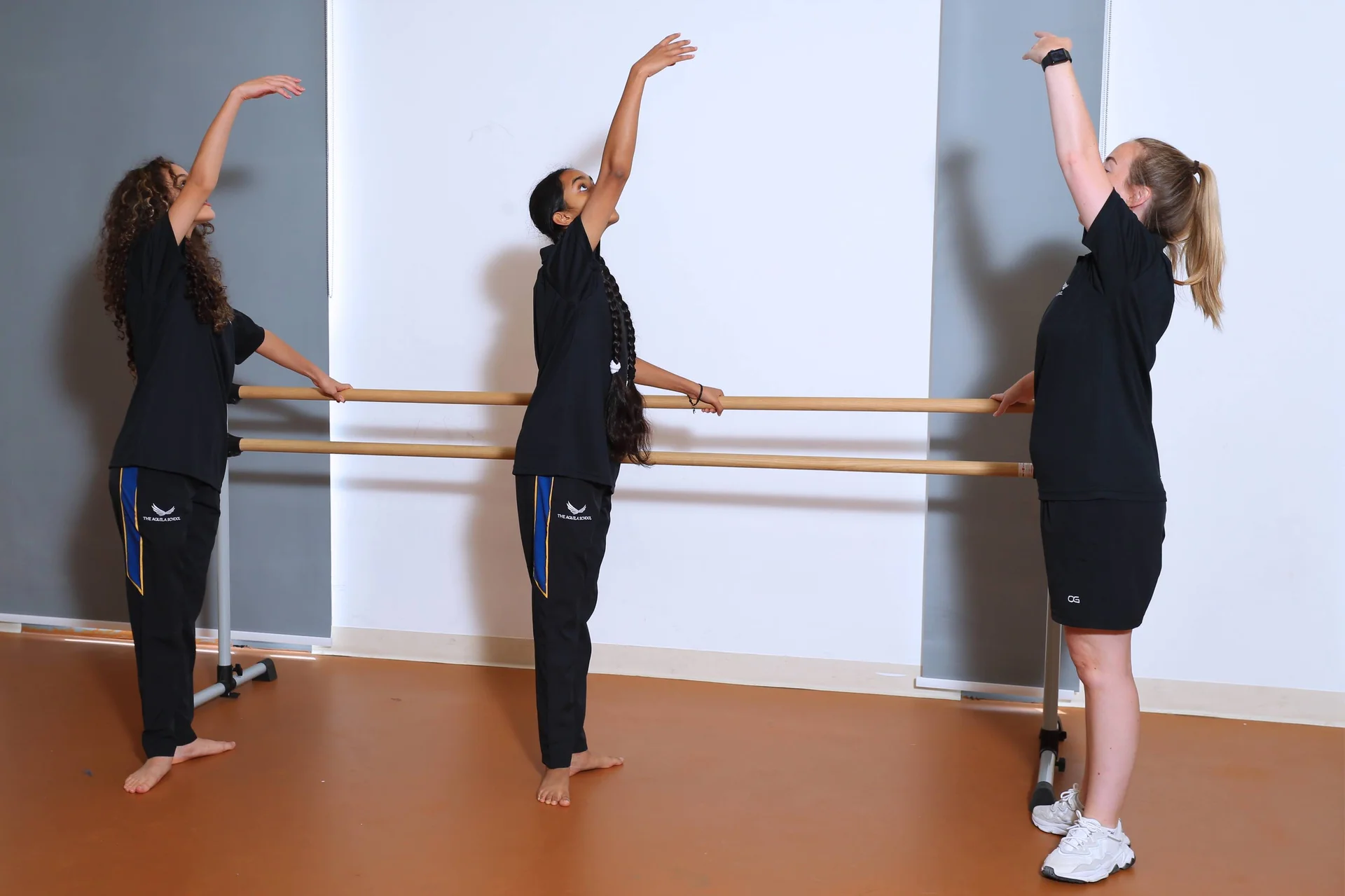 Performing arts (dance)