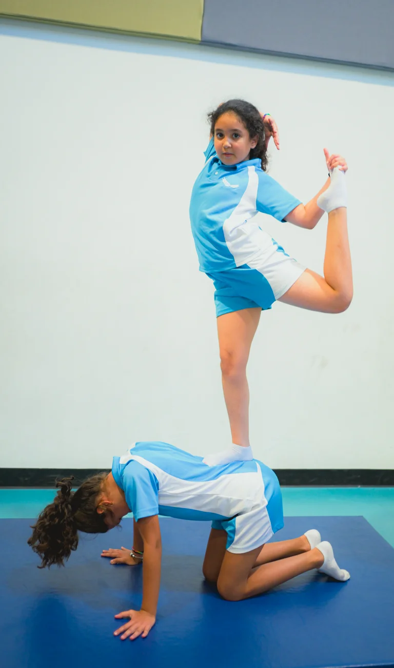 Gymnastics