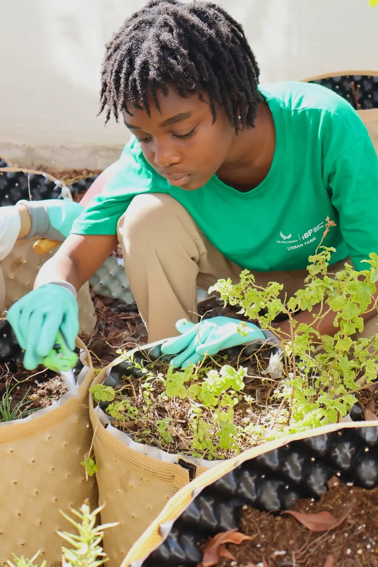 Sustainability at Aquila  12