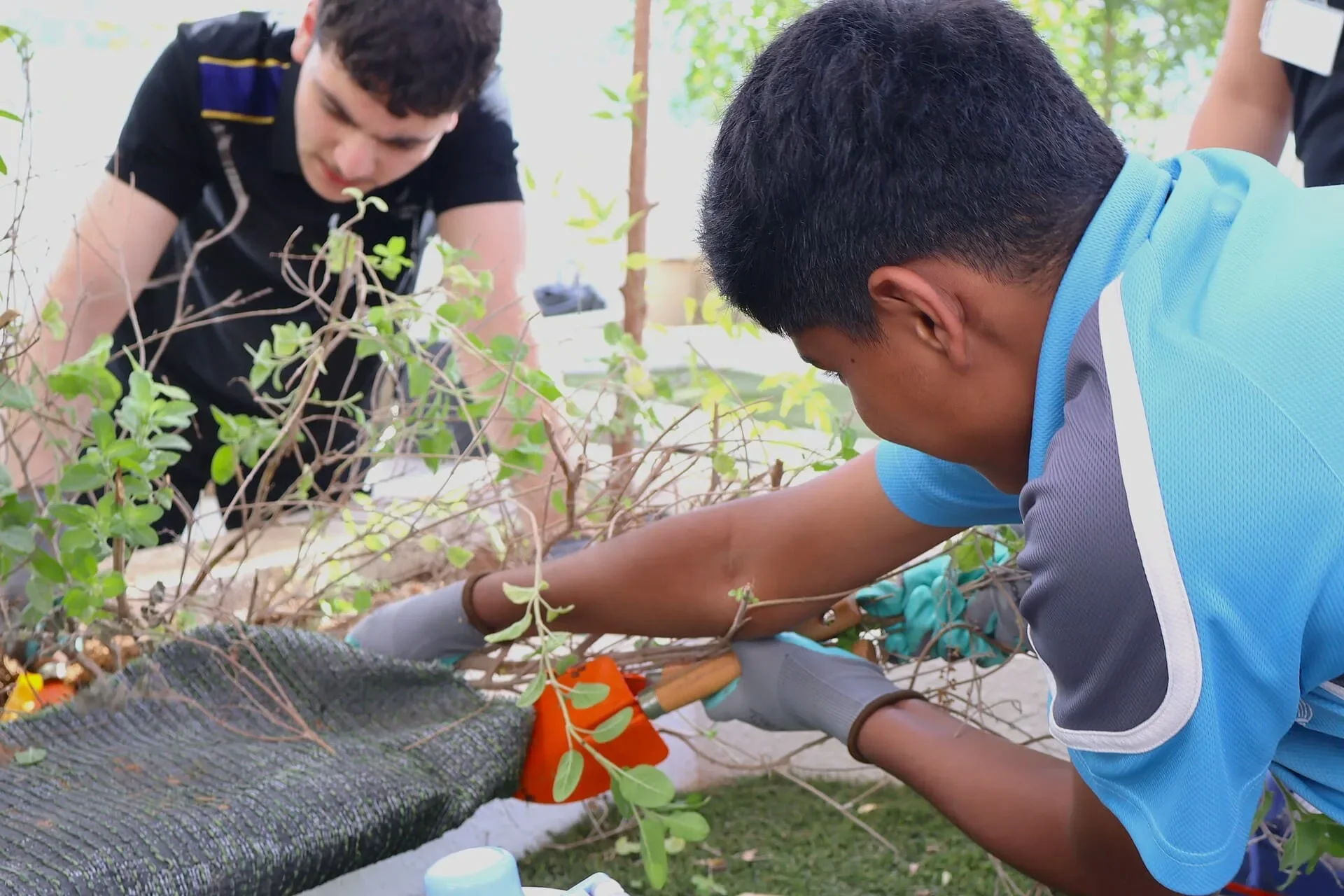 Sustainability at Aquila  9