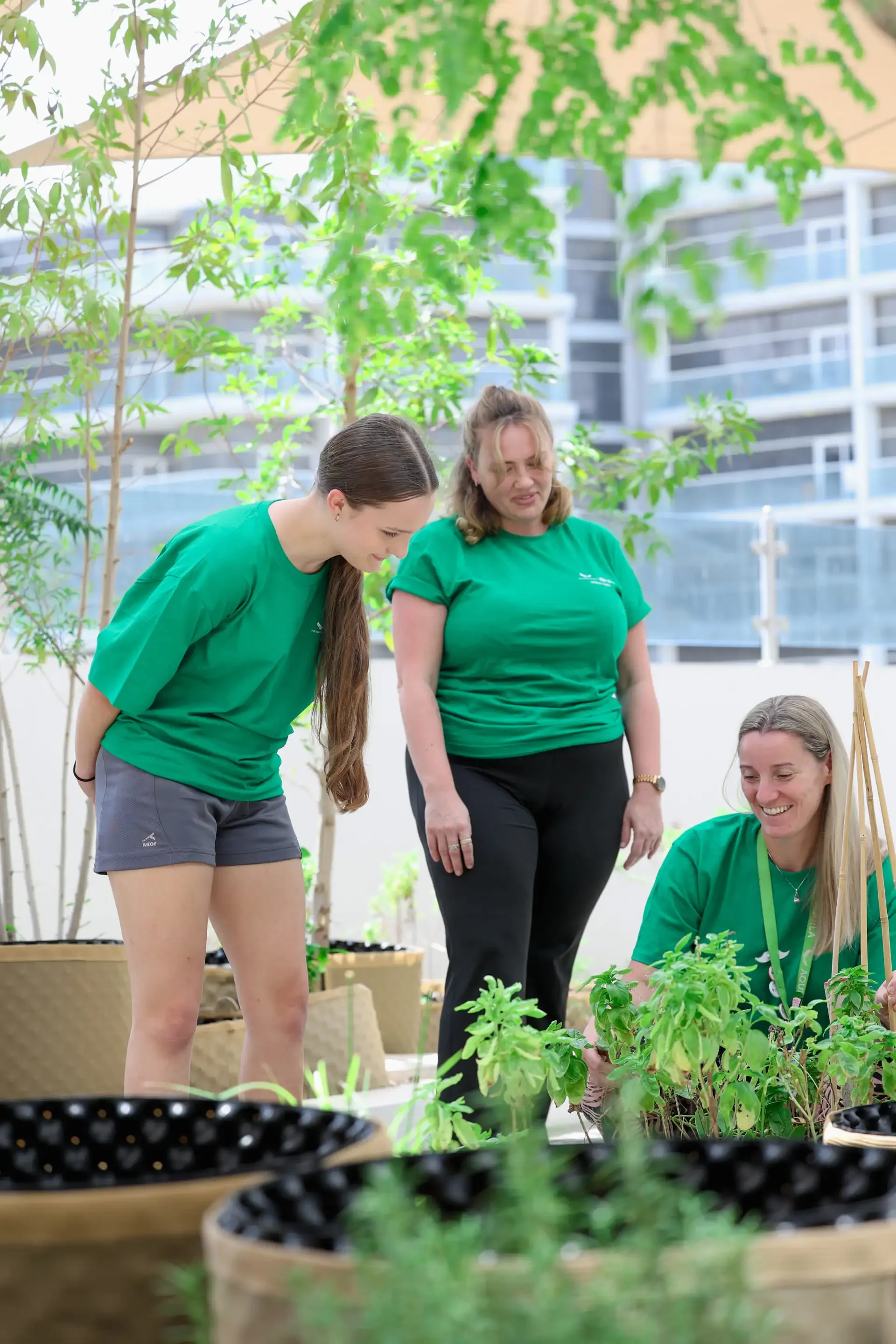 Sustainability at Aquila  2