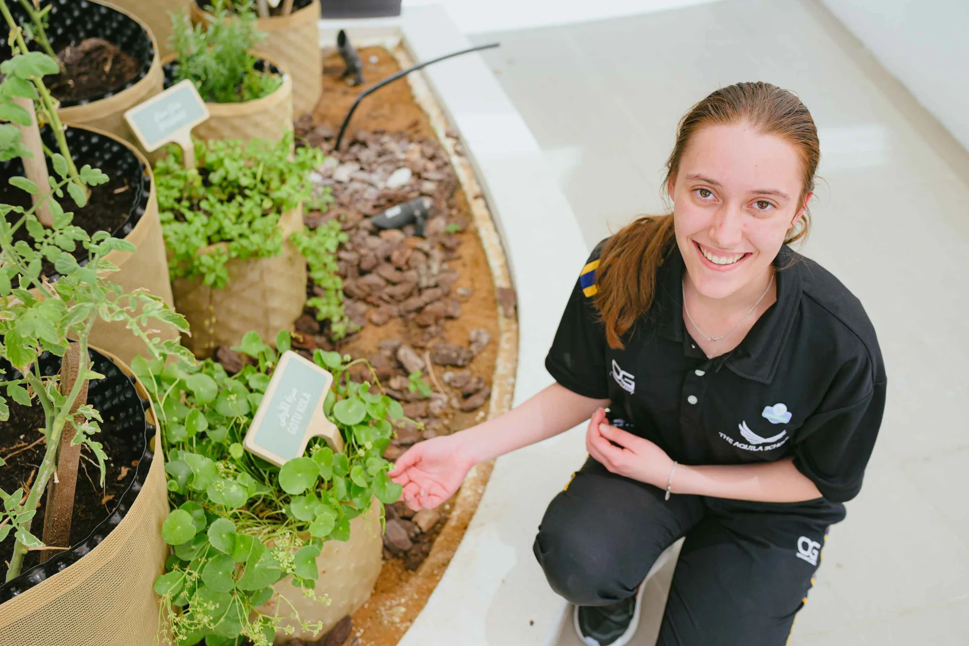 Sustainability at Aquila  1