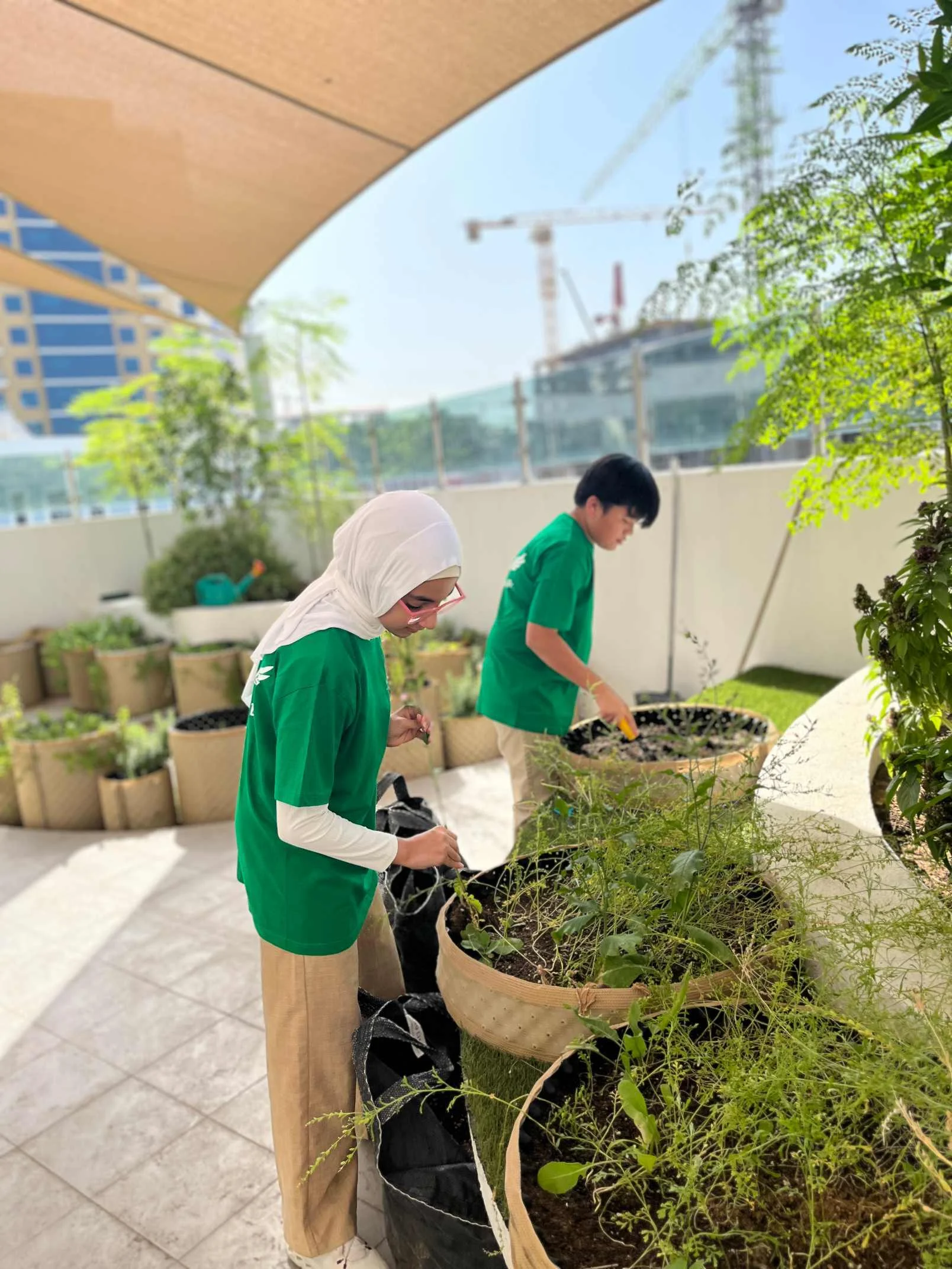 Sustainability at Aquila  3