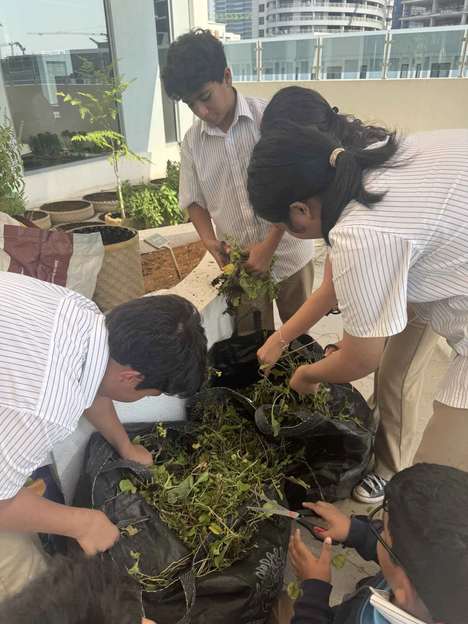Sustainability at Aquila  5