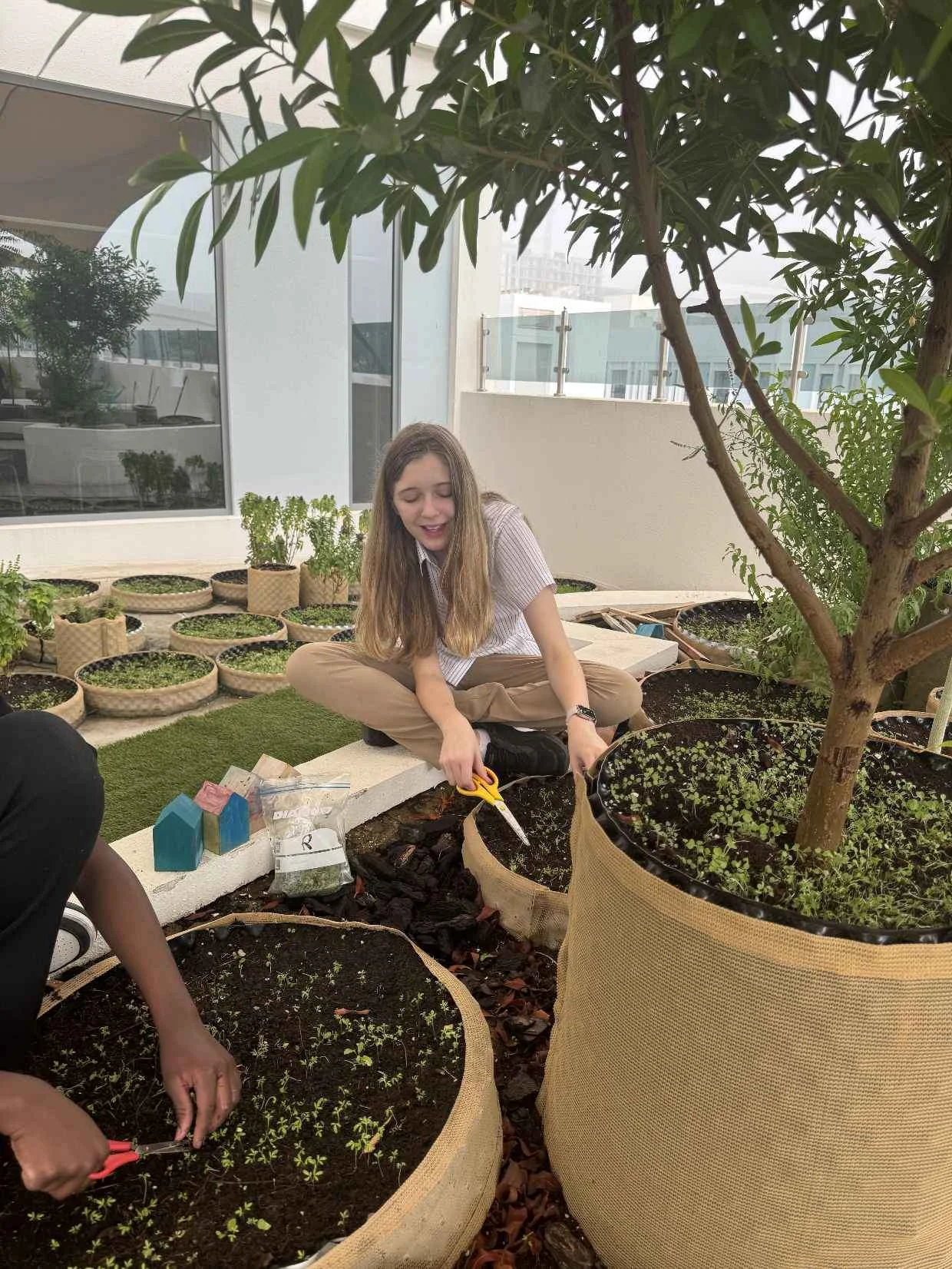 Sustainability at Aquila  4