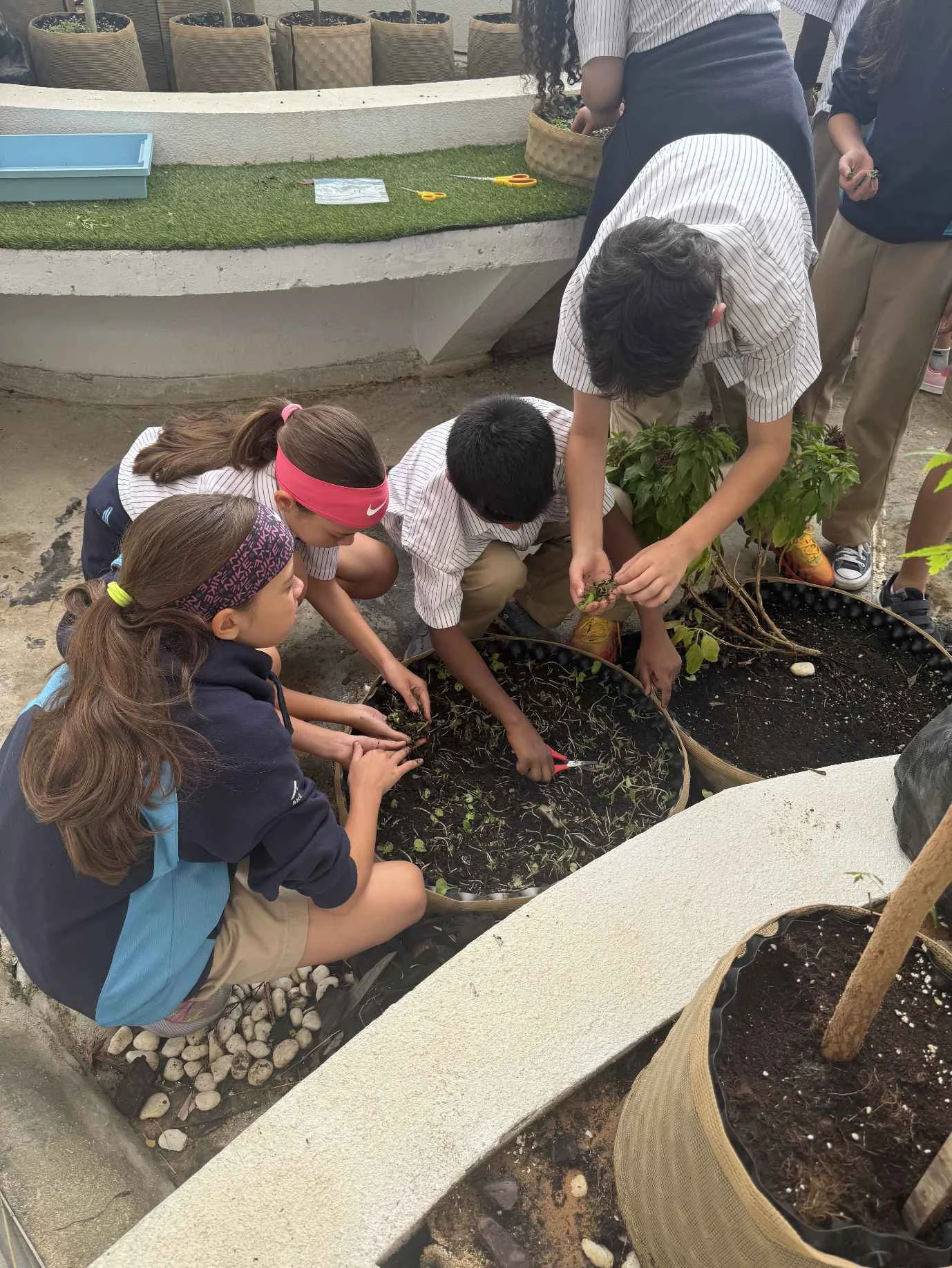 Sustainability at Aquila  6