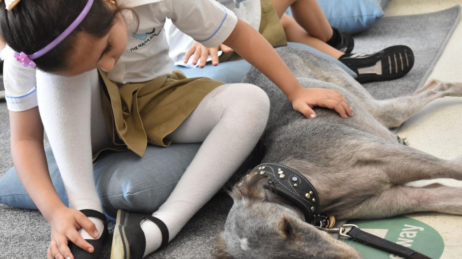 Reading Dogs: Dubai school holds reading session for children with doggy friends