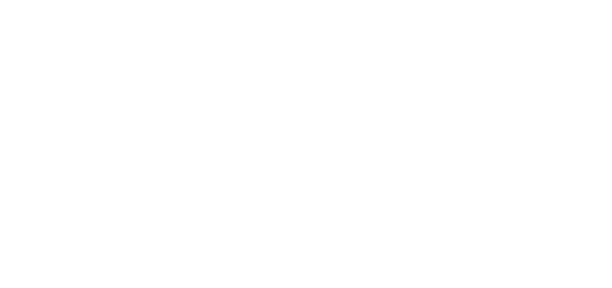 The Aquila School